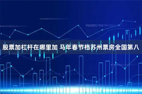 股票加杠杆在哪里加 马年春节档苏州票房全国第八